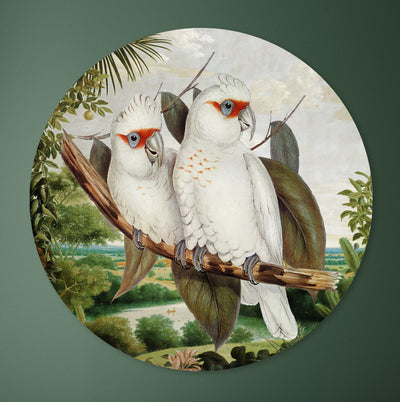 Birds in Paradise - Marja van den Hurk
