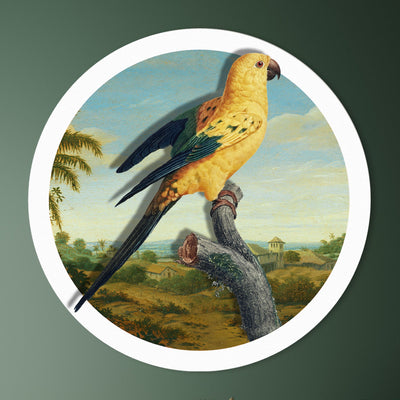 Parrot in Paradise - Marja van den Hurk