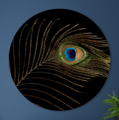Pauwenveer als eyecatcher - Mayra Fotografie