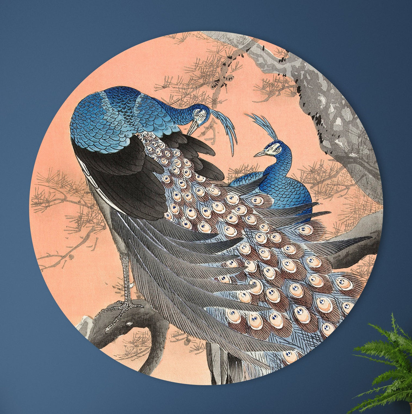 Two peacocks - Ohara Koson